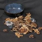 IMG_2773 • <a style="font-size:0.8em;" href="http://www.flickr.com/photos/142157392@N08/39328608345/" target="_blank">Voir sur Flickr</a> IMG_2773 • <a style="font-size:0.8em;" href="http://www.flickr.com/photos/142157392@N08/39328608345/" target="_blank">Voir sur Flickr</a>