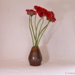 IMG_9106 • <a style="font-size:0.8em;" href="http://www.flickr.com/photos/142157392@N08/28441814709/" target="_blank">Voir sur Flickr</a> IMG_9106 • <a style="font-size:0.8em;" href="http://www.flickr.com/photos/142157392@N08/28441814709/" target="_blank">Voir sur Flickr</a>