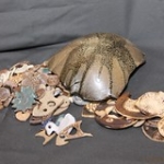 IMG_2809 • <a style="font-size:0.8em;" href="http://www.flickr.com/photos/142157392@N08/26332600238/" target="_blank">Voir sur Flickr</a> IMG_2809 • <a style="font-size:0.8em;" href="http://www.flickr.com/photos/142157392@N08/26332600238/" target="_blank">Voir sur Flickr</a>