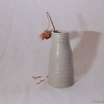 IMG_8596 • <a style="font-size:0.8em;" href="http://www.flickr.com/photos/142157392@N08/25350422367/" target="_blank">Voir sur Flickr</a> IMG_8596 • <a style="font-size:0.8em;" href="http://www.flickr.com/photos/142157392@N08/25350422367/" target="_blank">Voir sur Flickr</a>