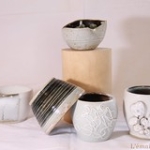 IMG_9077 • <a style="font-size:0.8em;" href="http://www.flickr.com/photos/142157392@N08/39323300365/" target="_blank">Voir sur Flickr</a> IMG_9077 • <a style="font-size:0.8em;" href="http://www.flickr.com/photos/142157392@N08/39323300365/" target="_blank">Voir sur Flickr</a>