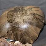 IMG_2811 • <a style="font-size:0.8em;" href="http://www.flickr.com/photos/142157392@N08/39328645885/" target="_blank">Voir sur Flickr</a> IMG_2811 • <a style="font-size:0.8em;" href="http://www.flickr.com/photos/142157392@N08/39328645885/" target="_blank">Voir sur Flickr</a>