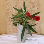 IMG_9071 • <a style="font-size:0.8em;" href="http://www.flickr.com/photos/142157392@N08/40221153421/" target="_blank">Voir sur Flickr</a> IMG_9071 • <a style="font-size:0.8em;" href="http://www.flickr.com/photos/142157392@N08/40221153421/" target="_blank">Voir sur Flickr</a>