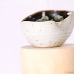 IMG_9080 • <a style="font-size:0.8em;" href="http://www.flickr.com/photos/142157392@N08/40188479452/" target="_blank">Voir sur Flickr</a> IMG_9080 • <a style="font-size:0.8em;" href="http://www.flickr.com/photos/142157392@N08/40188479452/" target="_blank">Voir sur Flickr</a>