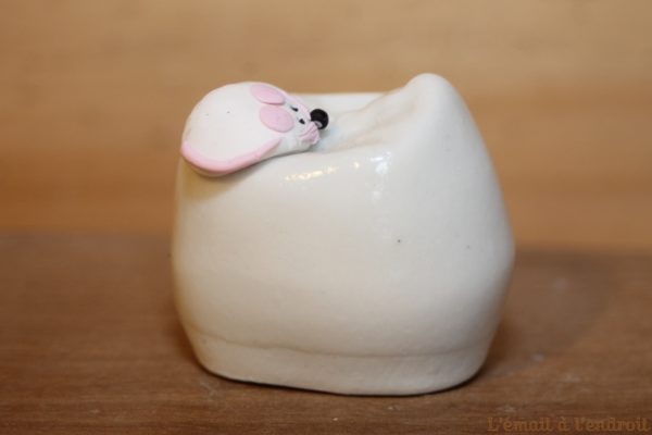 Boîte à dents de lait