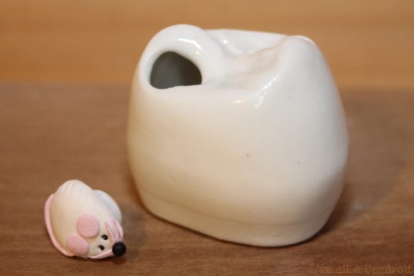 Boîte à dents de lait