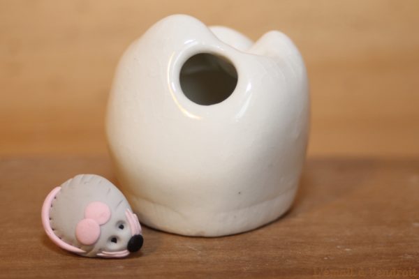 Boîte à dents de lait