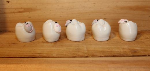 boîtes à dent de lait