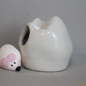 boîte à dents de lait