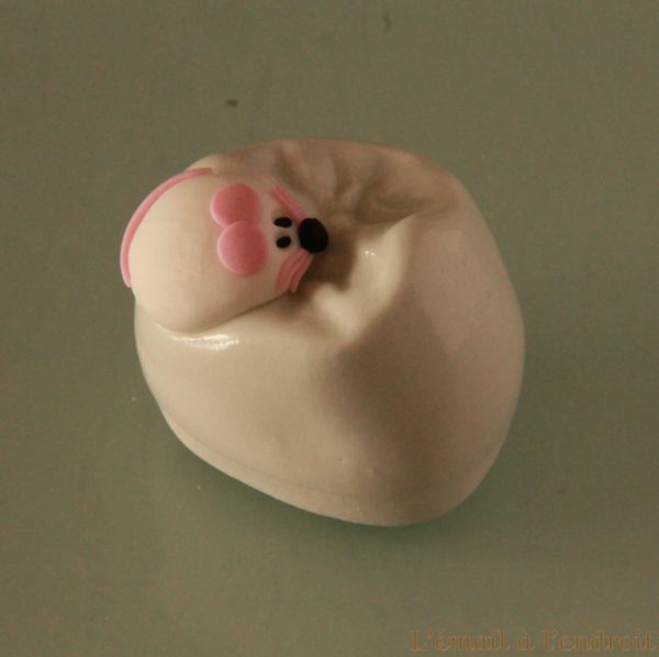 Boîte à dents de lait