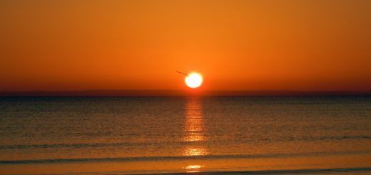 Et maintenant ... 2019