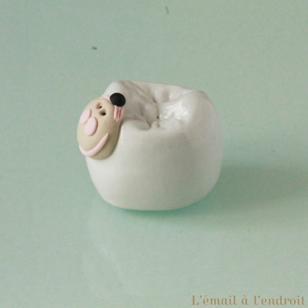Boîte à dents de lait