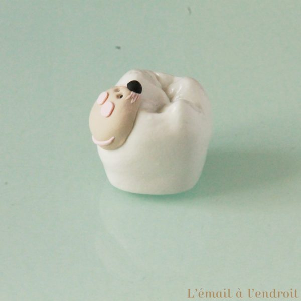 Boîte à dents de lait