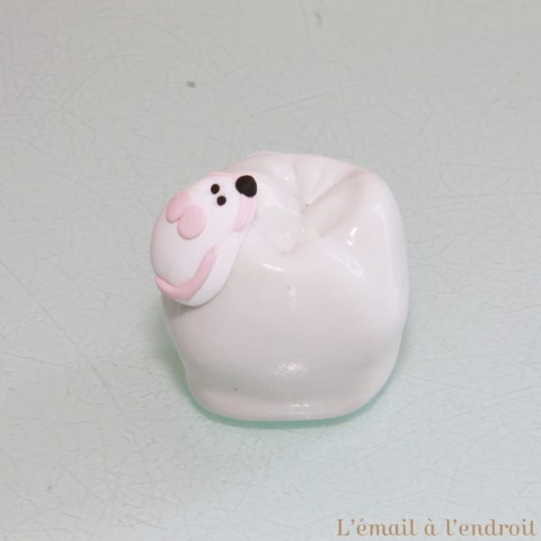 Boîte à dents de lait