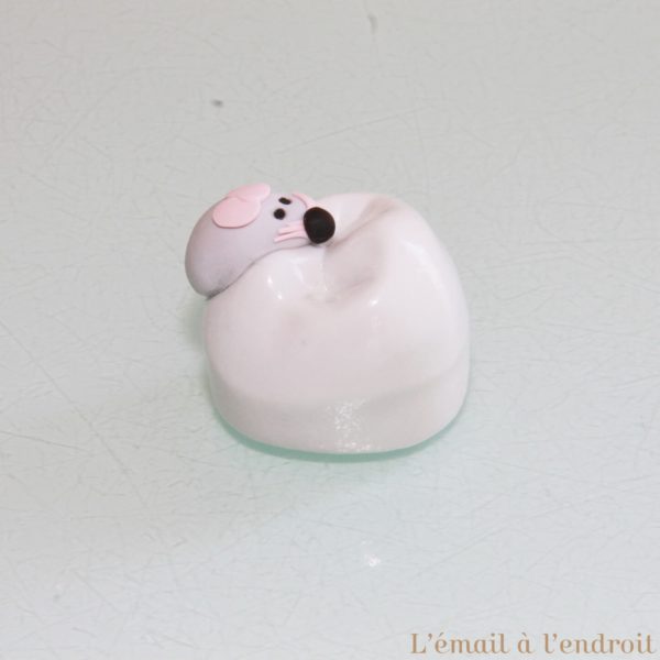 Boîte à dents de lait