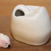 Boîte à dents de lait