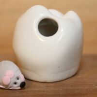 Boîte à dents de lait