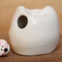 Boîte à dents de lait